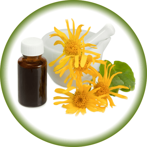 Seniya Wynn ~ Classical Homeopath Seniya Wynn ~ Classical Homeopath